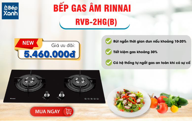 Bếp Gas Rinnai RVB-2HG(B) giá rẻ